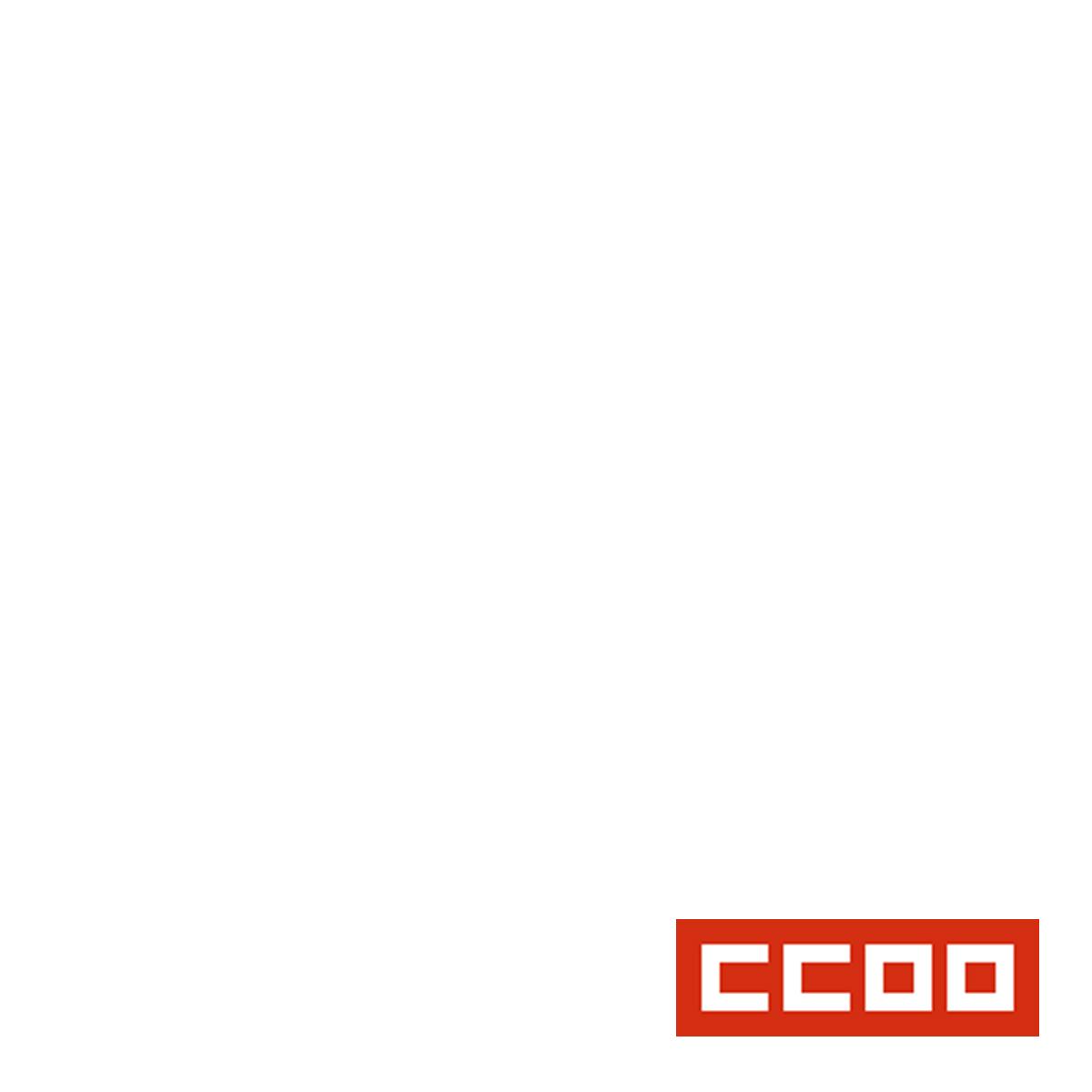 CCOO-Inicio